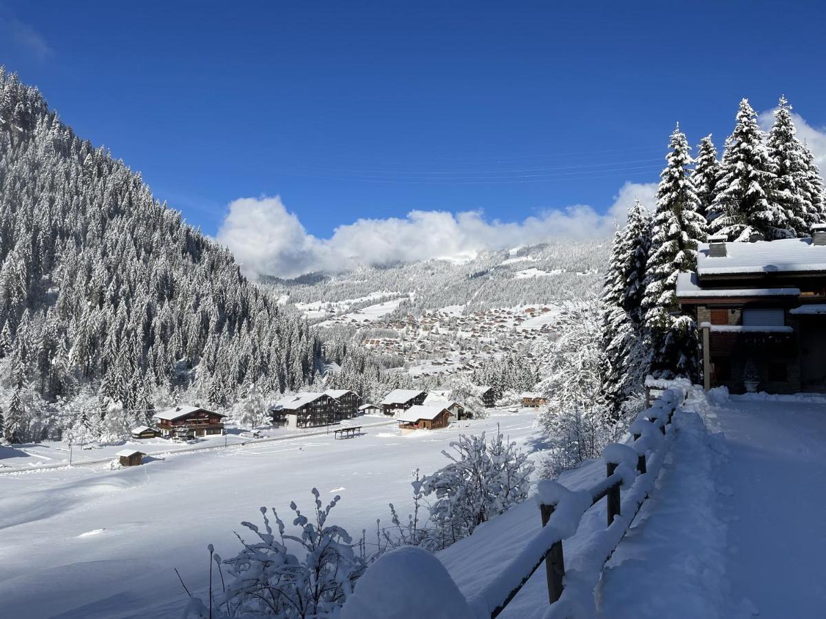 Appartement T3 Chatel Exterior photo